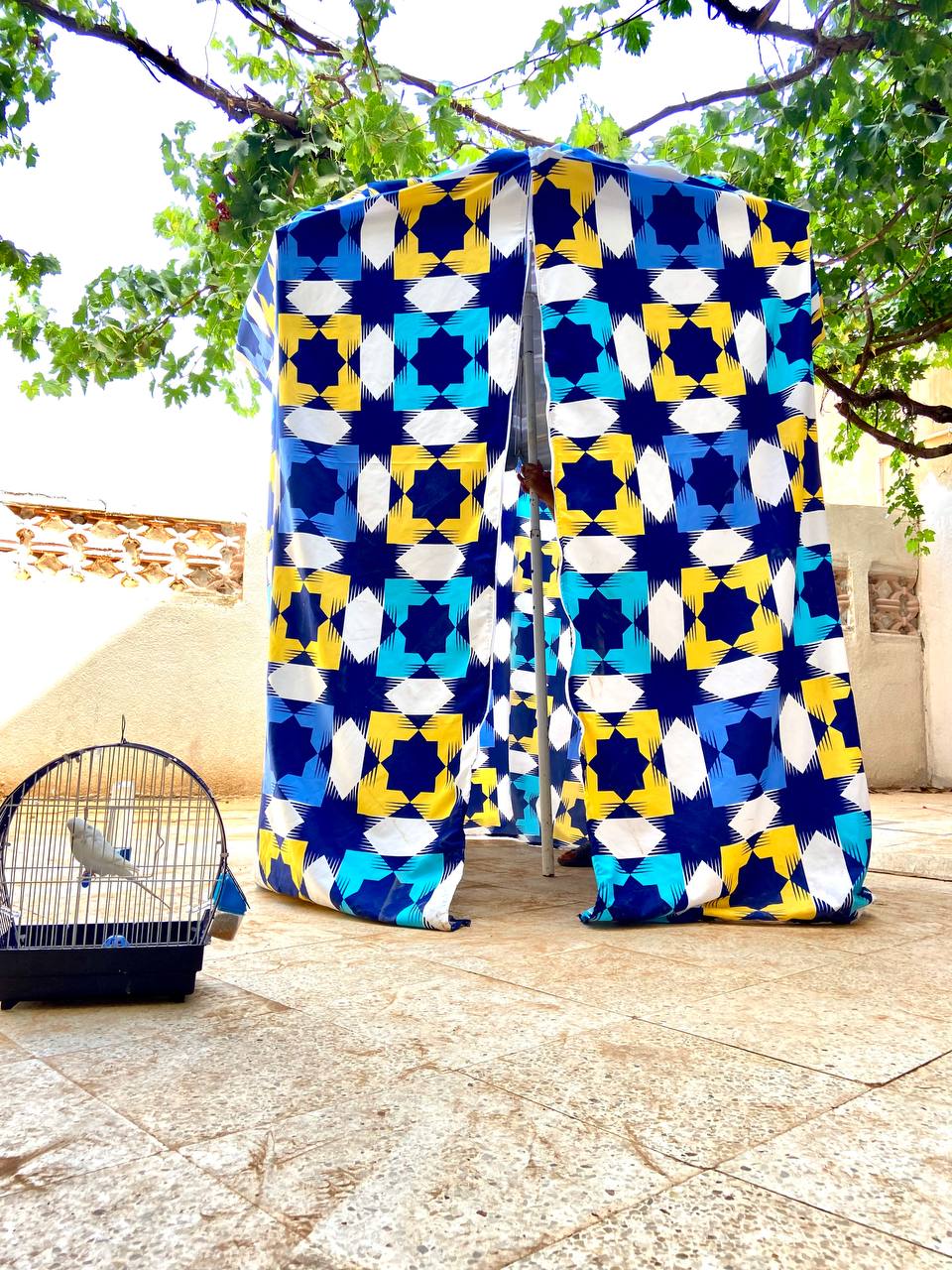غطاء البراصول البحري