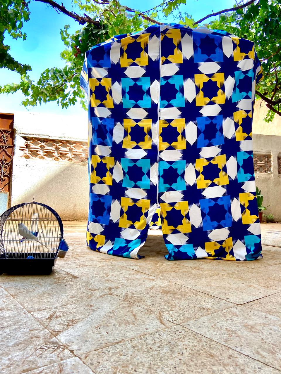 غطاء البراصول البحري